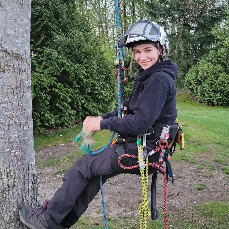 Climbing arborist on rope beside a mature tree trunk, harness and rigging ropes in frame