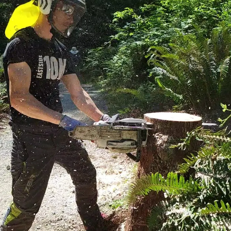 Arborist in protective gear cutting a tree section with a chainsaw, wood chips in the air