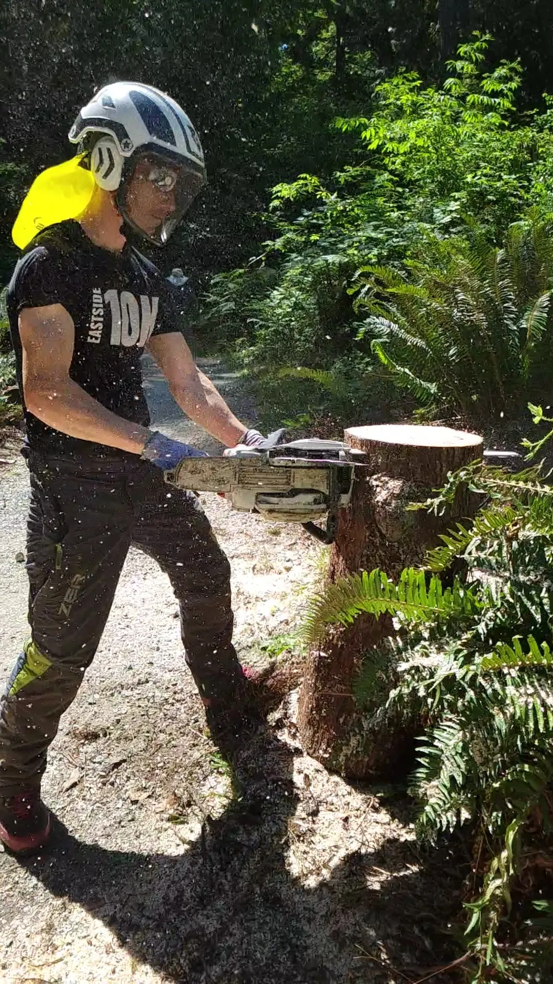 Arborist in full protective gear cutting a tree section with a chainsaw
