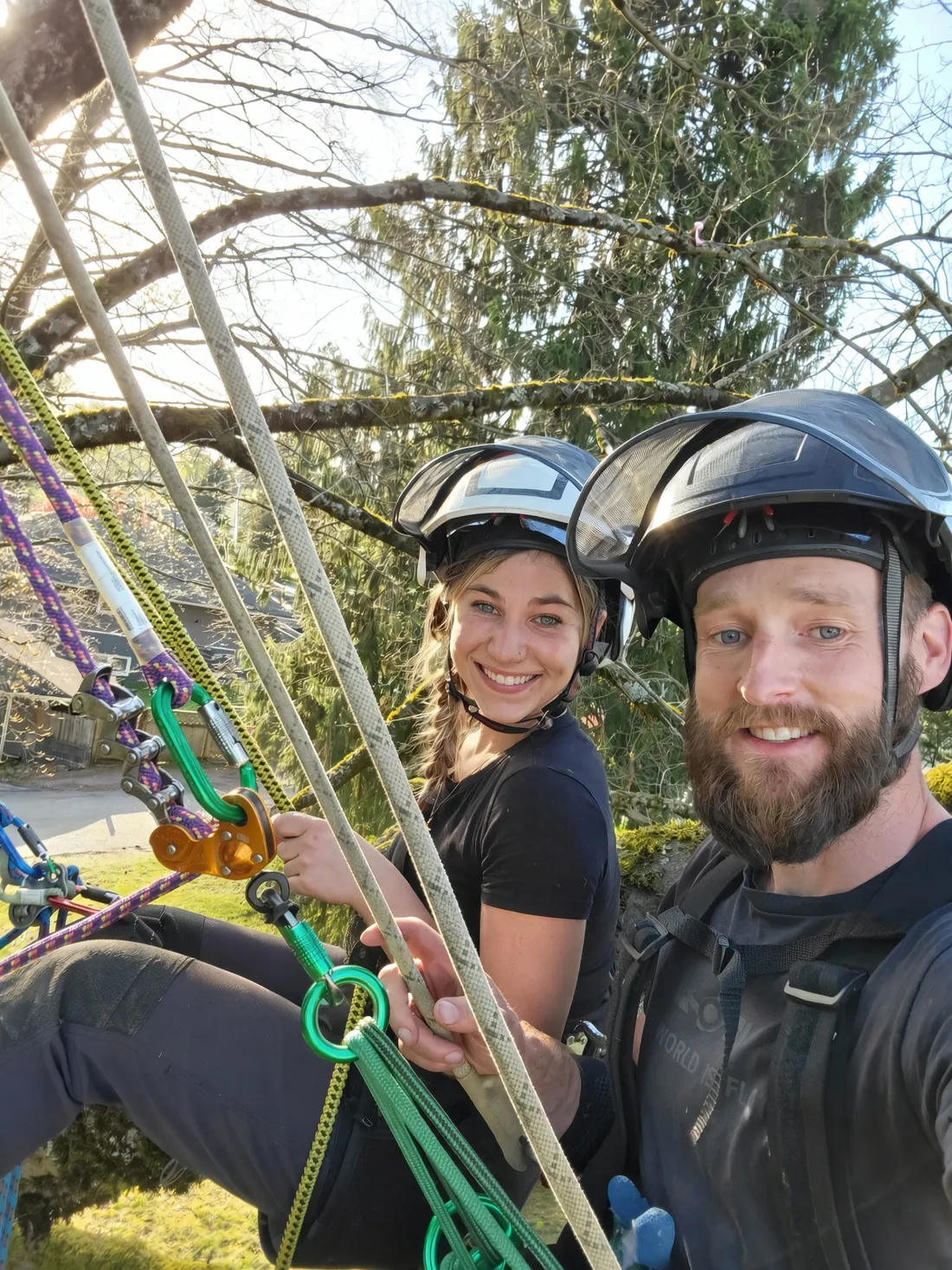 Tyson Bush and Nicole of Rocky Point Tree Service in a tree in climbing gear