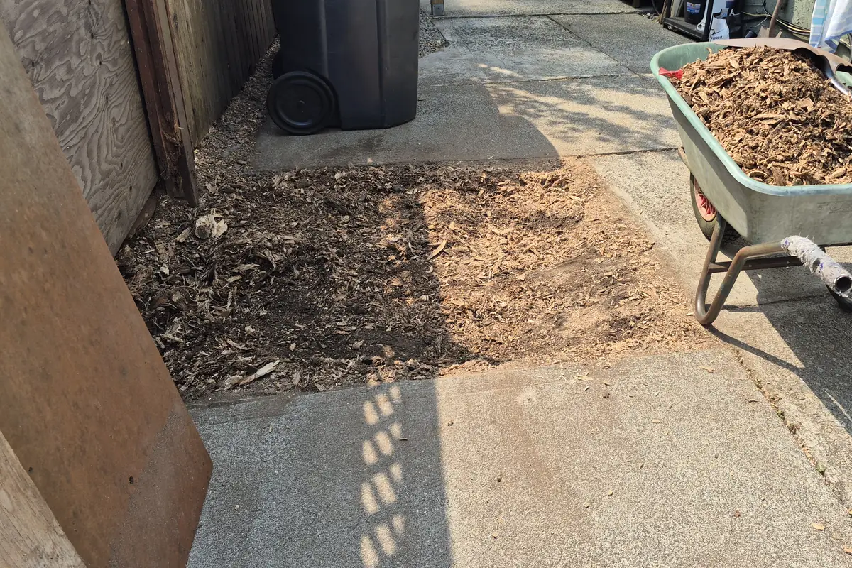 The same side yard after grinding, with the stump gone and the grindings raked into the hole